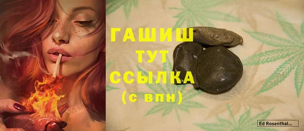 прущие грибы Бердск