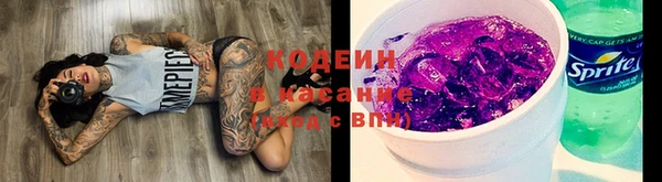прущие грибы Бердск