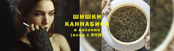 прущие грибы Бердск