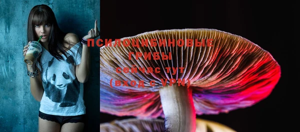 PSILOCYBIN Надым