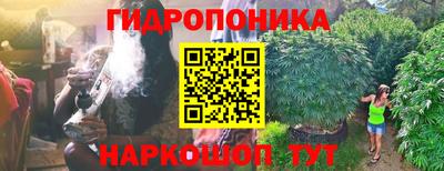 спиды Донской