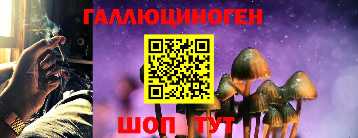 Псилоцибиновые грибы GOLDEN TEACHER  наркотики  Галлюциногенные грибы Magic Shrooms  Шахты 