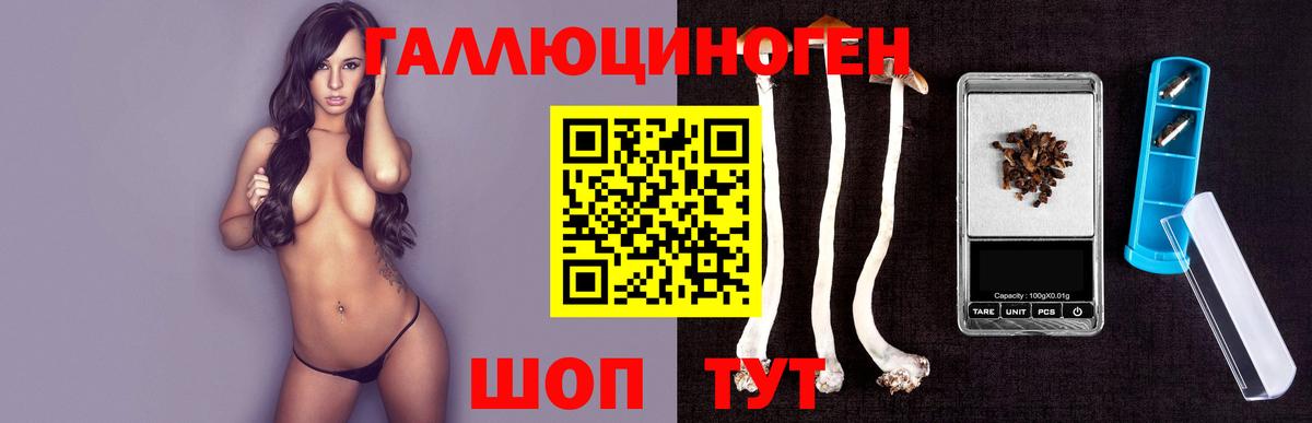 Шахты  Галлюциногенные грибы прущие грибы  Вход с VPN 